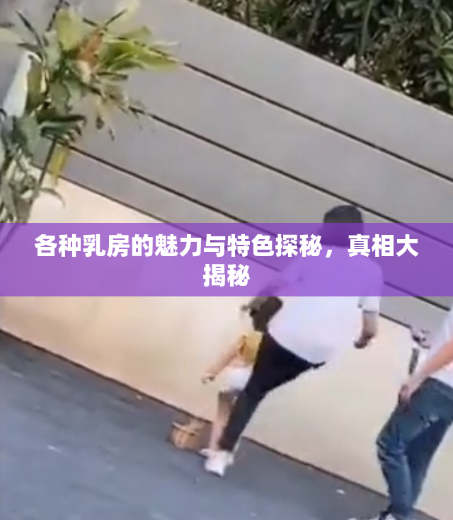 各种乳房的魅力与特色探秘，真相大揭秘