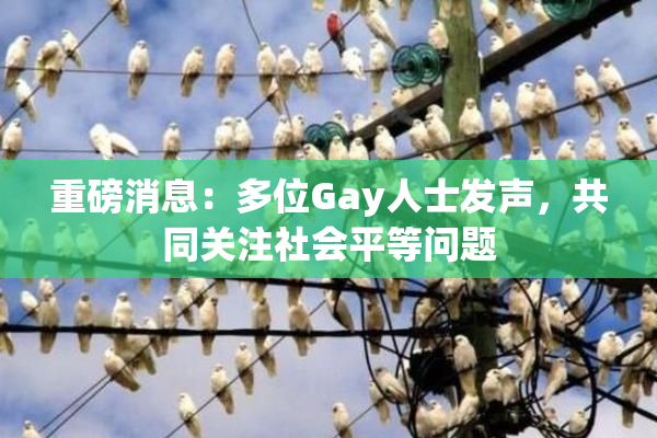 重磅消息：多位Gay人士发声，共同关注社会平等问题