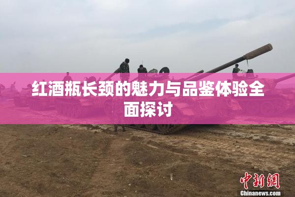 红酒瓶长颈的魅力与品鉴体验全面探讨