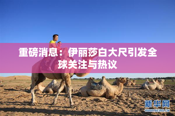 重磅消息：伊丽莎白大尺引发全球关注与热议