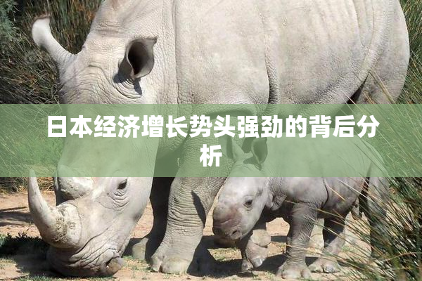 日本经济增长势头强劲的背后分析