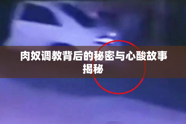 肉奴调教背后的秘密与心酸故事揭秘
