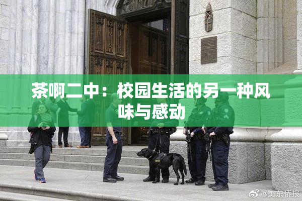 茶啊二中：校园生活的另一种风味与感动