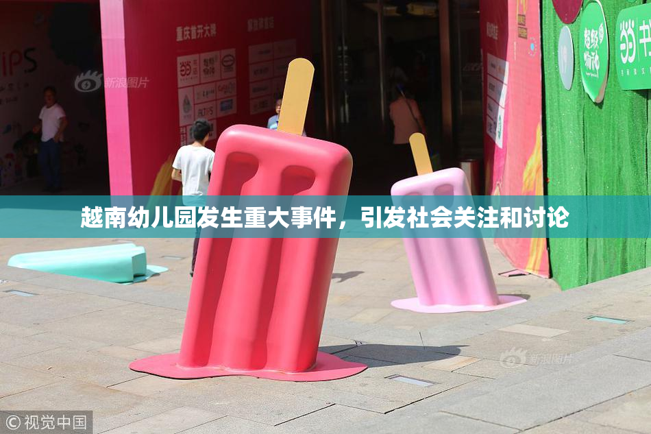 越南幼儿园发生重大事件，引发社会关注和讨论