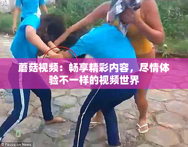 蘑菇视频：畅享精彩内容，尽情体验不一样的视频世界
