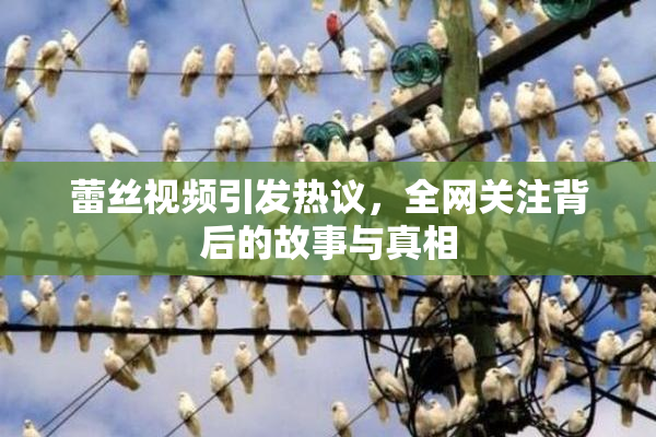 蕾丝视频引发热议，全网关注背后的故事与真相