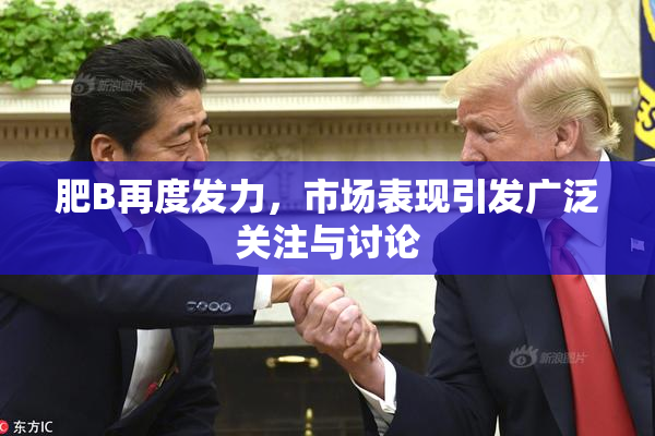 肥B再度发力，市场表现引发广泛关注与讨论