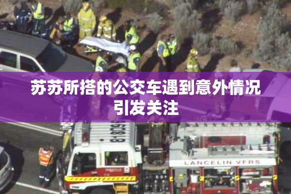 苏苏所搭的公交车遇到意外情况引发关注