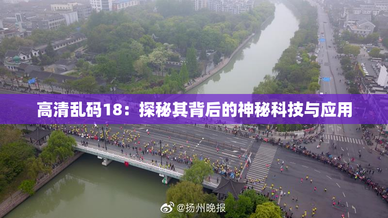 高清乱码18：探秘其背后的神秘科技与应用