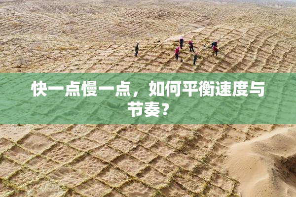快一点慢一点，如何平衡速度与节奏？