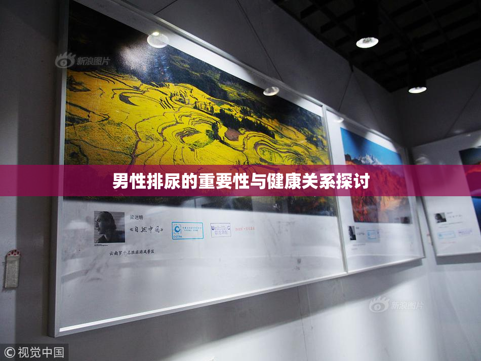 男性排尿的重要性与健康关系探讨