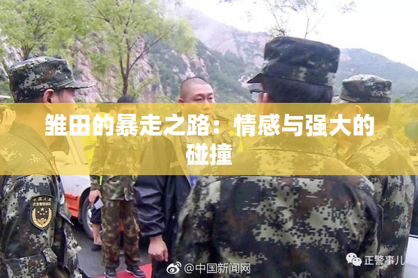 雏田的暴走之路：情感与强大的碰撞