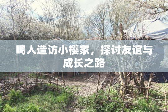 鸣人造访小樱家，探讨友谊与成长之路