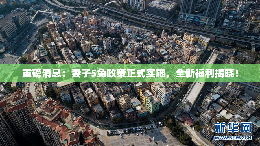 重磅消息：妻子5免政策正式实施，全新福利揭晓！