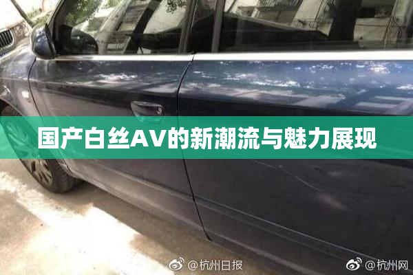国产白丝AV的新潮流与魅力展现