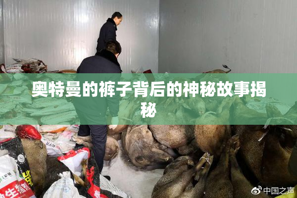 奥特曼的裤子背后的神秘故事揭秘