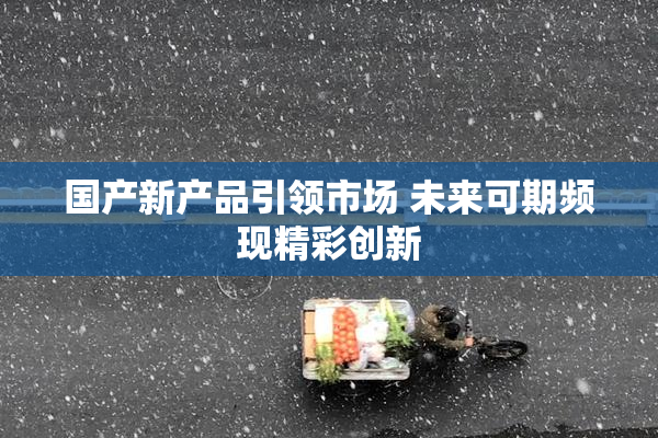 国产新产品引领市场 未来可期频现精彩创新