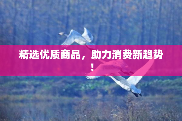 精选优质商品，助力消费新趋势！