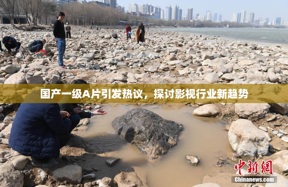国产一级A片引发热议，探讨影视行业新趋势
