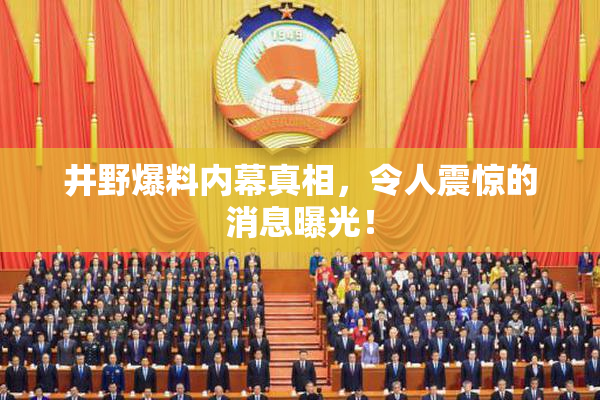 井野爆料内幕真相，令人震惊的消息曝光！