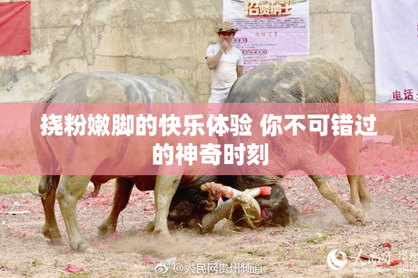 挠粉嫩脚的快乐体验 你不可错过的神奇时刻
