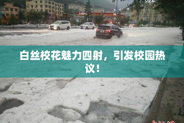 白丝校花魅力四射，引发校园热议！