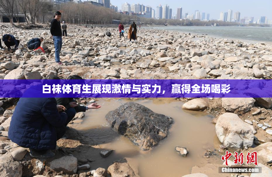 白袜体育生展现激情与实力，赢得全场喝彩