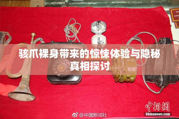骇爪裸身带来的惊悚体验与隐秘真相探讨