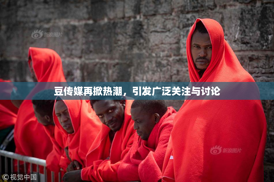 豆传媒再掀热潮，引发广泛关注与讨论