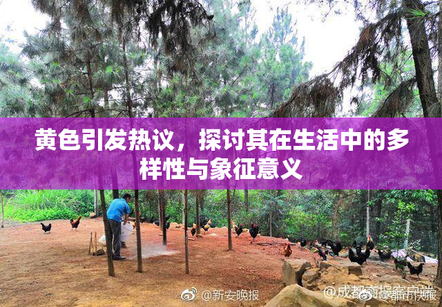 黄色引发热议，探讨其在生活中的多样性与象征意义