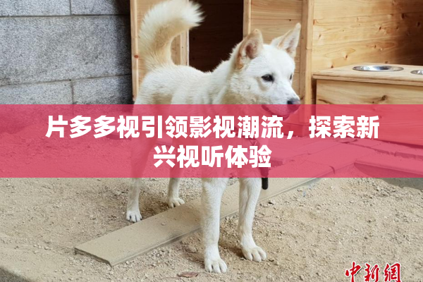 片多多视引领影视潮流，探索新兴视听体验