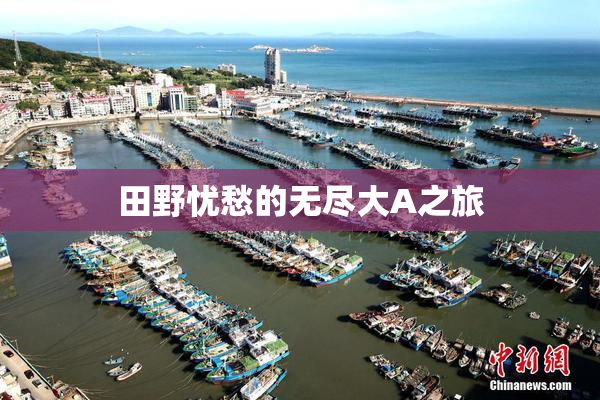 田野忧愁的无尽大A之旅