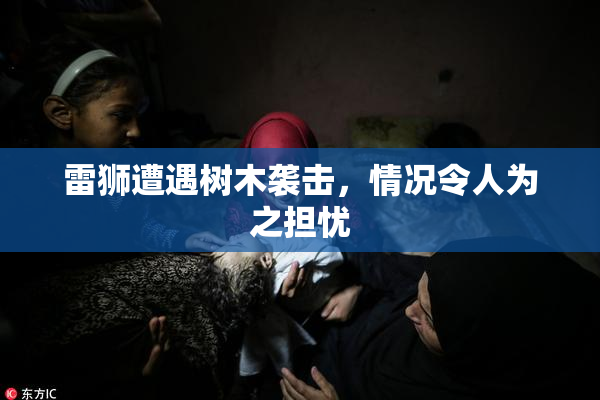 雷狮遭遇树木袭击，情况令人为之担忧