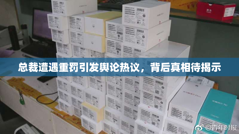 总裁遭遇重罚引发舆论热议，背后真相待揭示