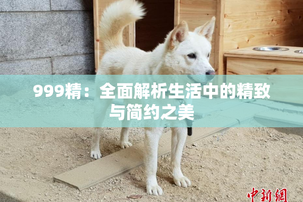 999精：全面解析生活中的精致与简约之美