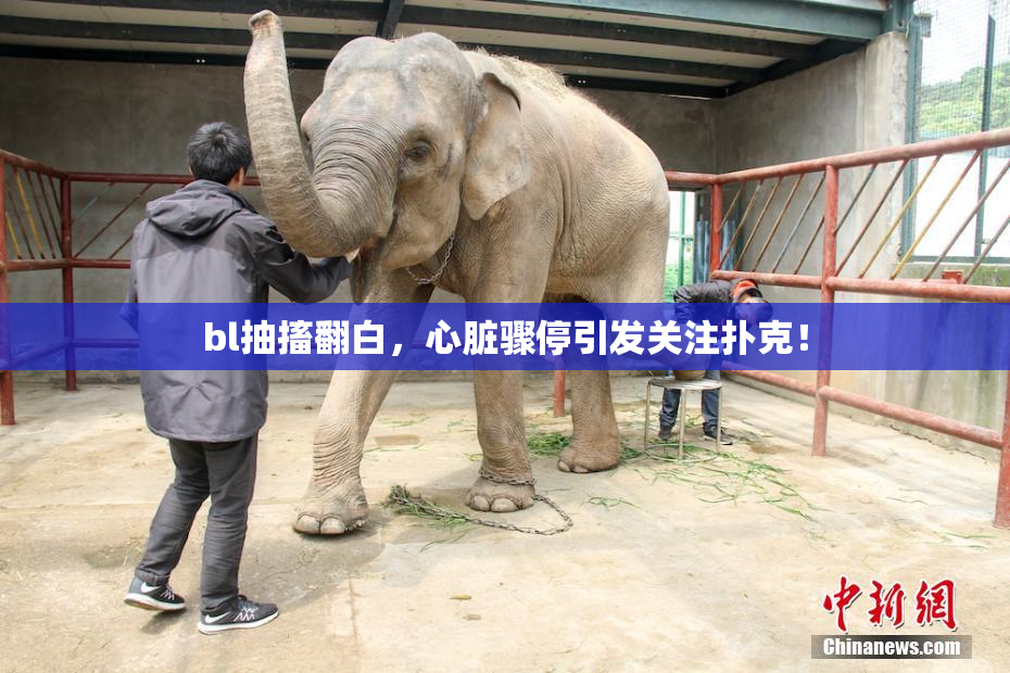 bl抽搐翻白，心脏骤停引发关注扑克！