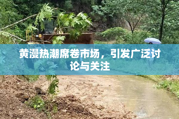 黄漫热潮席卷市场，引发广泛讨论与关注