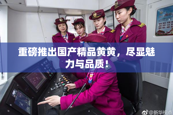重磅推出国产精品黄黄，尽显魅力与品质！