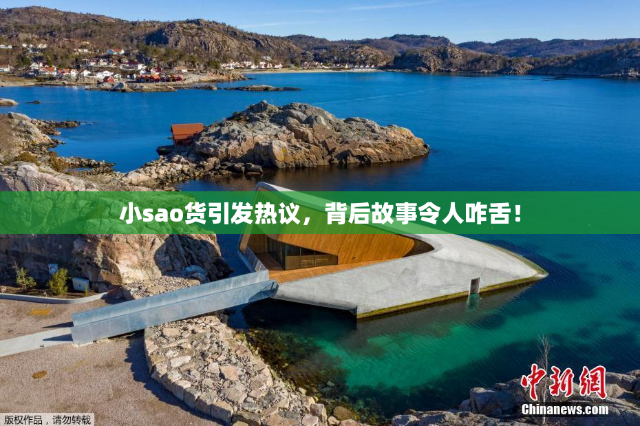 小sao货引发热议，背后故事令人咋舌！