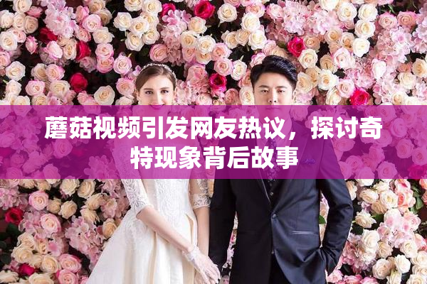 蘑菇视频引发网友热议，探讨奇特现象背后故事