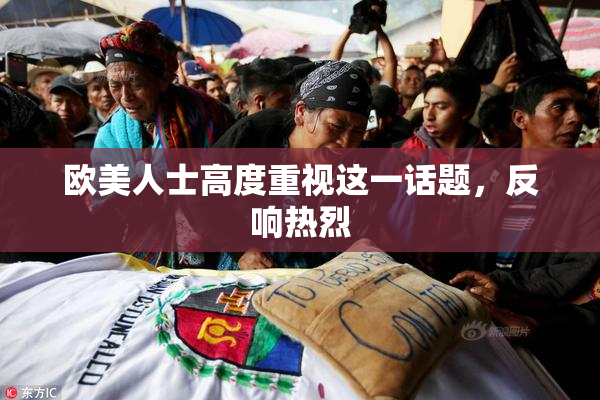 欧美人士高度重视这一话题，反响热烈