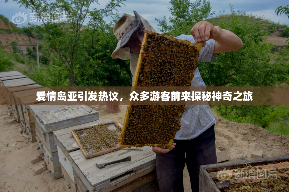 爱情岛亚引发热议，众多游客前来探秘神奇之旅