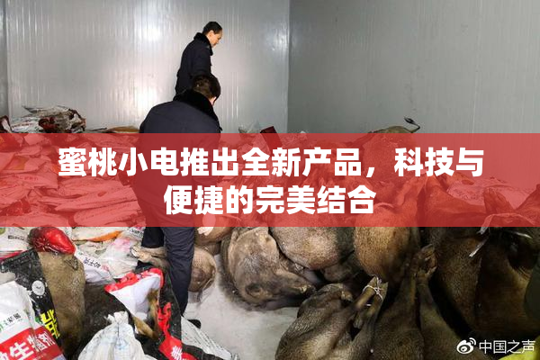 蜜桃小电推出全新产品，科技与便捷的完美结合