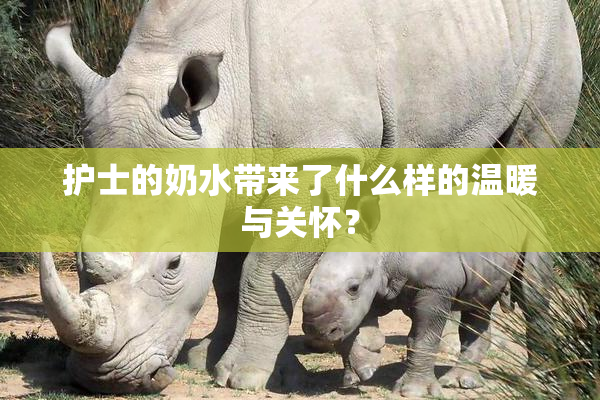 护士的奶水带来了什么样的温暖与关怀？