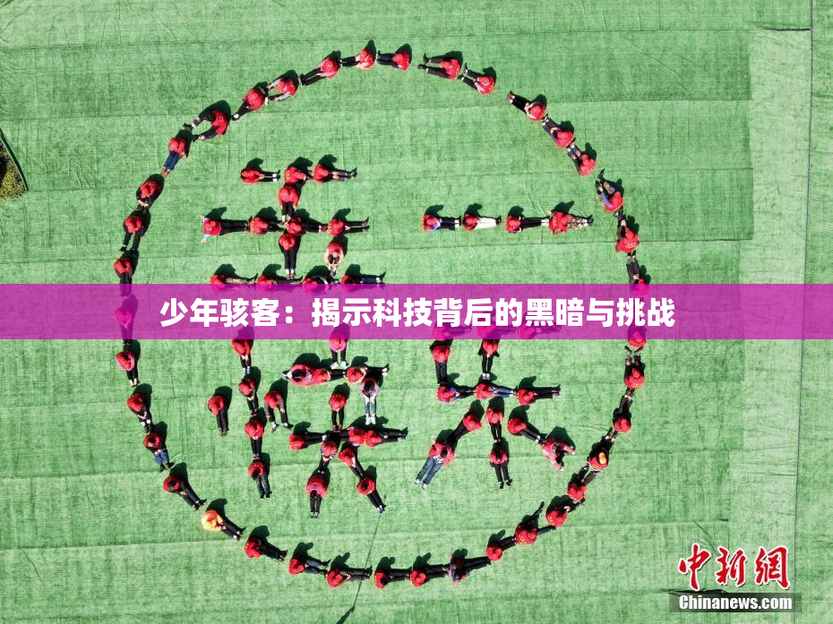 少年骇客：揭示科技背后的黑暗与挑战