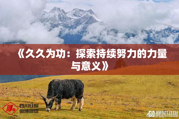 《久久为功：探索持续努力的力量与意义》