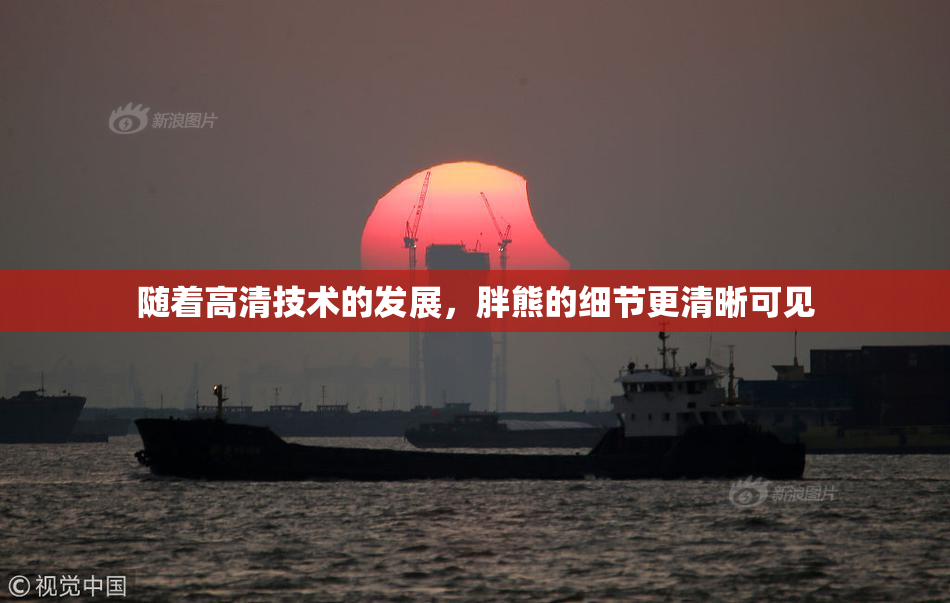 随着高清技术的发展，胖熊的细节更清晰可见