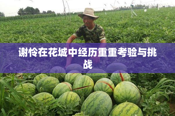 谢怜在花城中经历重重考验与挑战