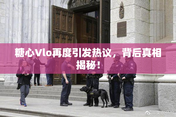 糖心Vlo再度引发热议，背后真相揭秘！