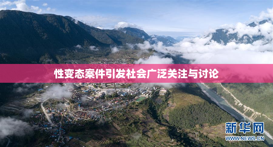 性变态案件引发社会广泛关注与讨论